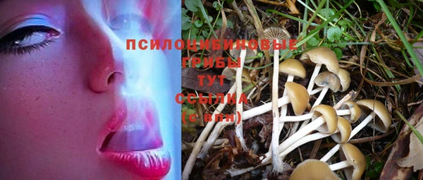 mix Баксан
