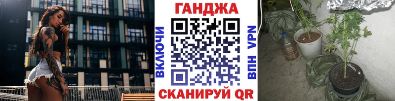 Конопля гибрид Невельск